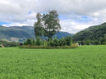Grindheimsveien Nord