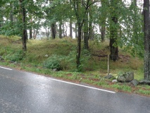 Fjære