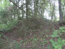 Sparbu barrows