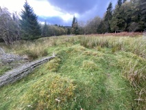 Prestsetra Burial fields
