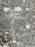 Sledasteinen