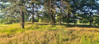 Refsingstad
