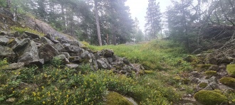 Bjomdalskollen