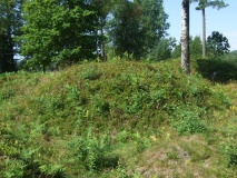 Bergene