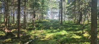 Moen med Grønlund