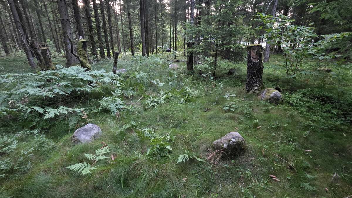 Norderås-Skogli Steinsirkel