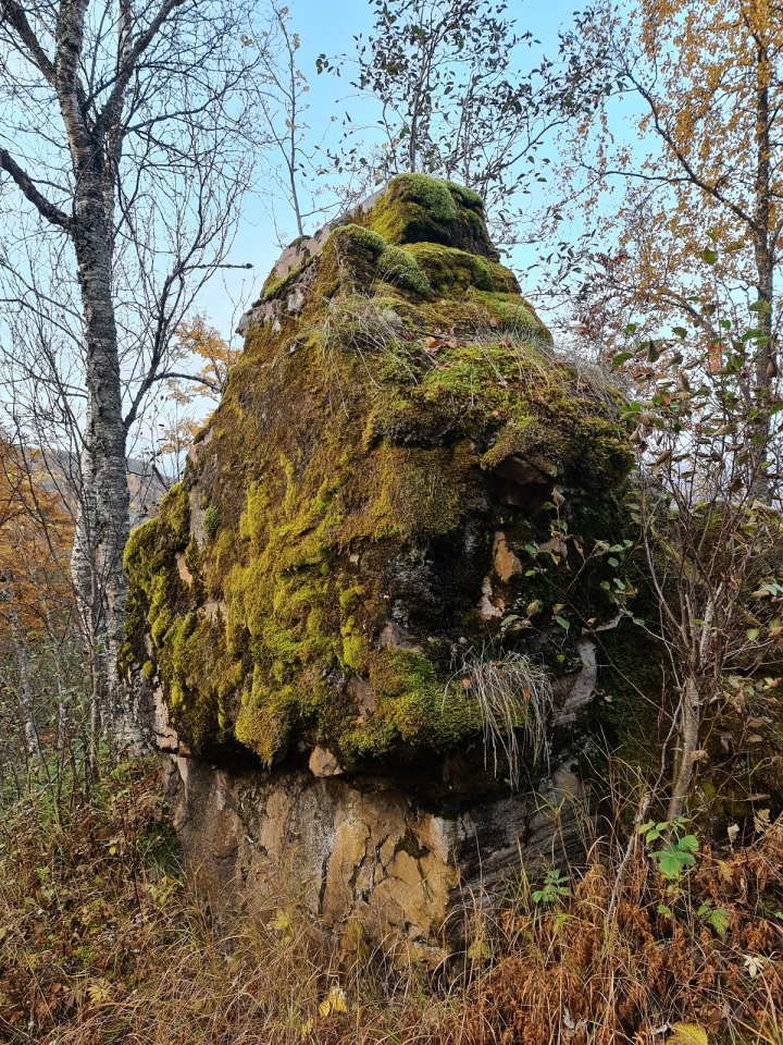 Click for full size image of Andasteinen (PID:265064) Andasteinen