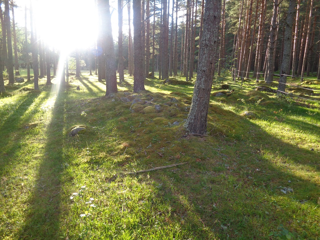 Hæreidsmoen