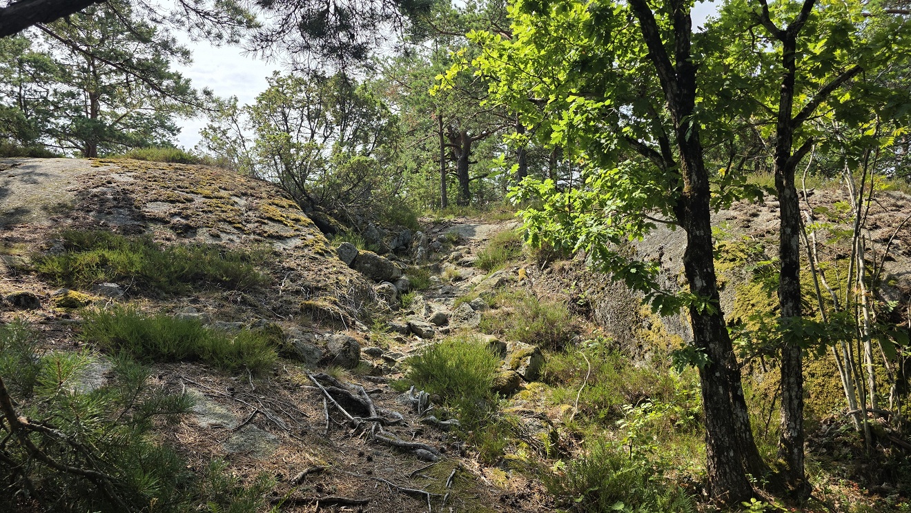 Haugeneåsen