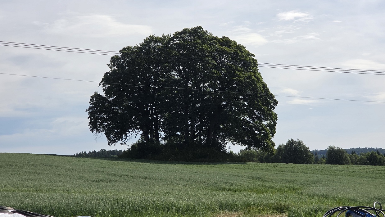Ridderjordsfløtten Gravhaug