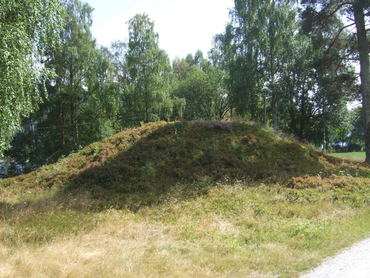 Hanehaug
