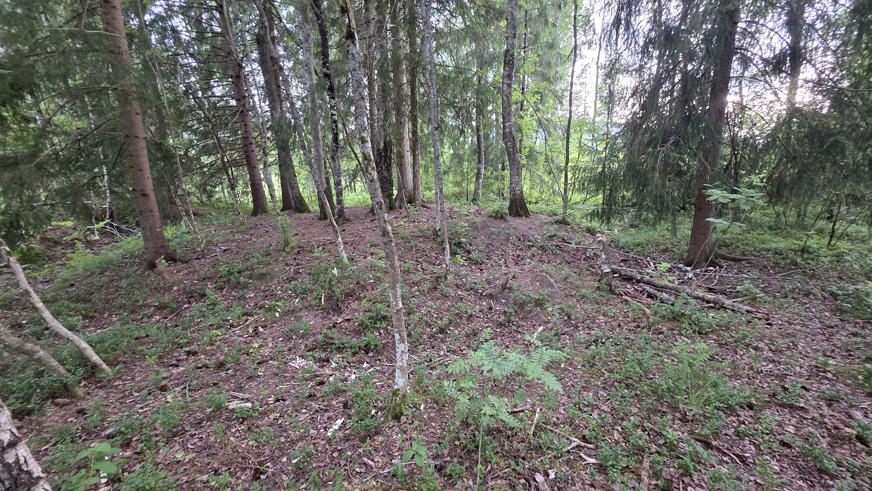 Skrubbmoen-Roe Søndre