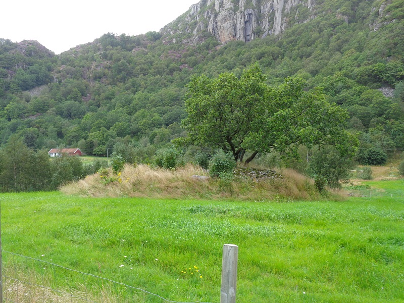 Mevollen Konge og Dronninghaugen