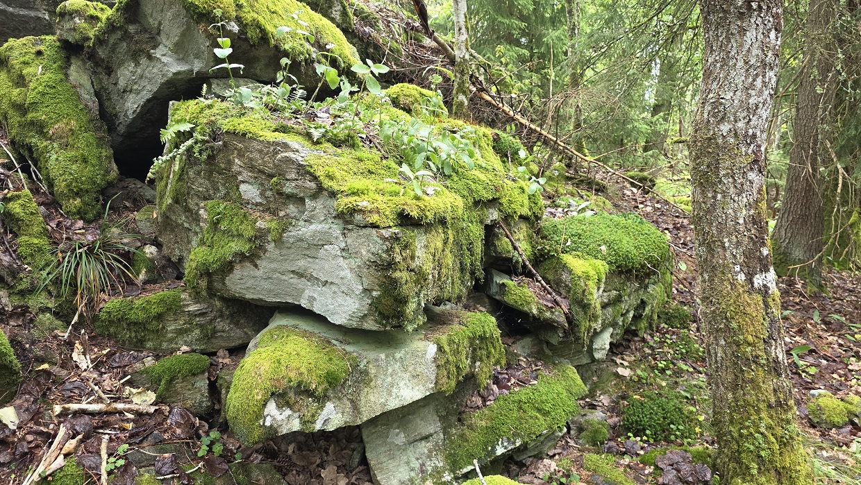 Kvernås Bygdeborg