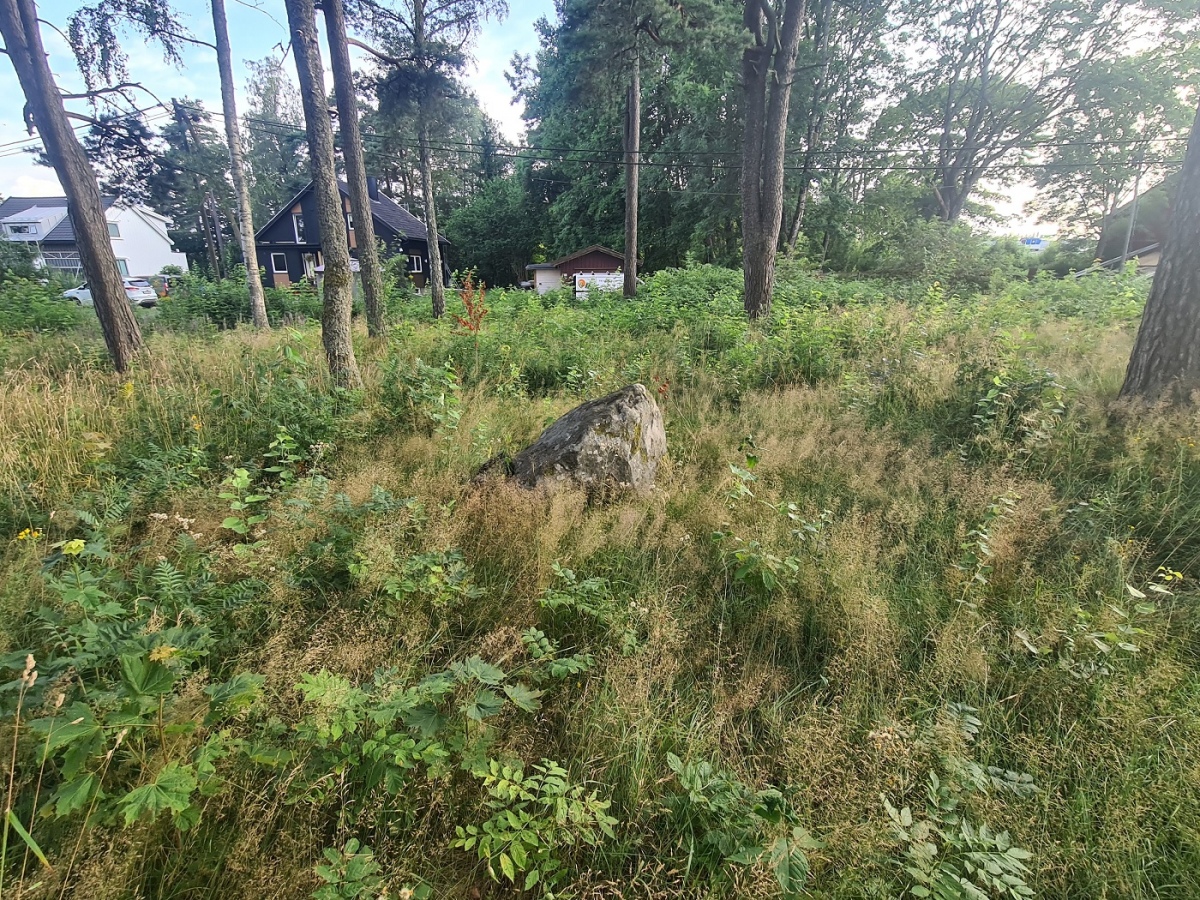 Molteberg-Skjelinveien