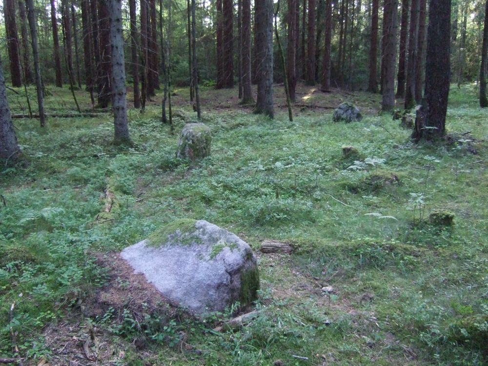 Bernhus
