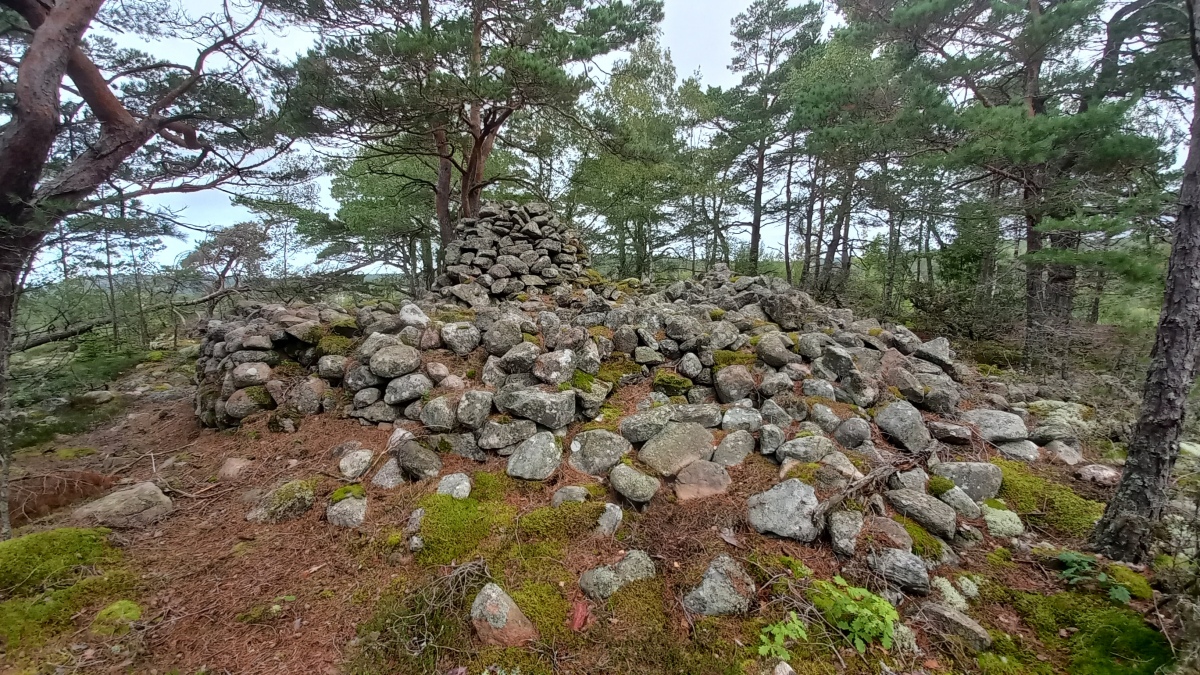 Tanumshede Gravröse (1) [RAÄ Tanum 608:1] Cairn : The Megalithic Portal ...