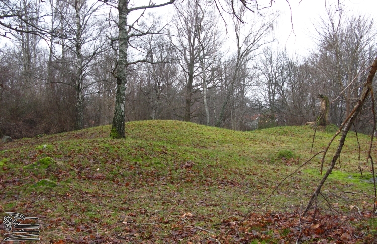 Björklunds hage. Mounds 14, 17, 19.