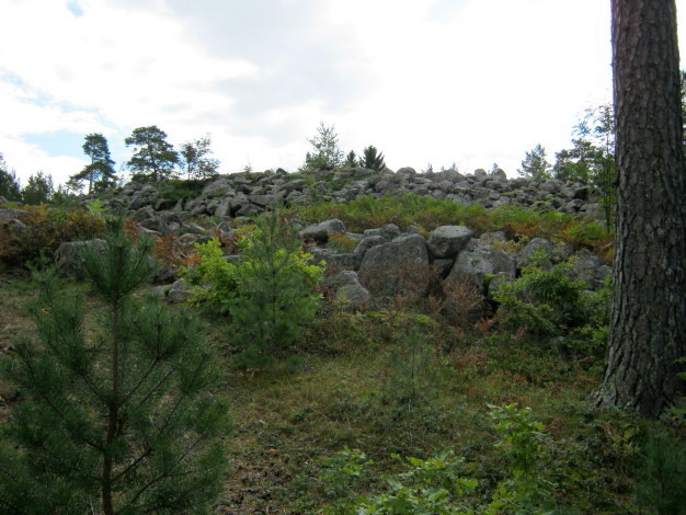 Borgby-skans