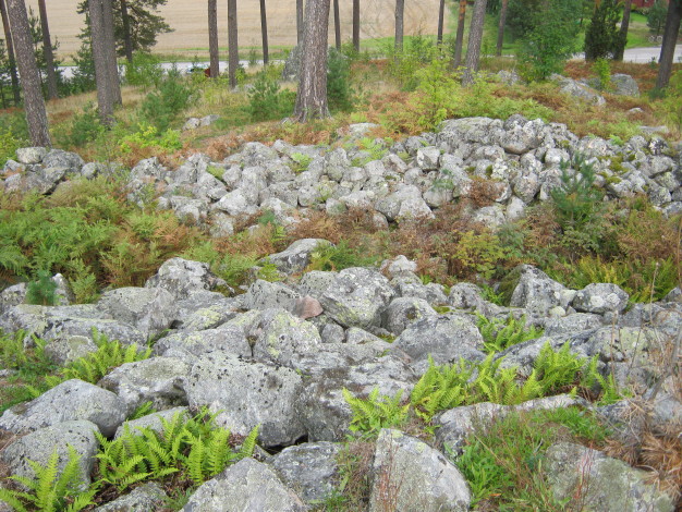 Borgby-skans