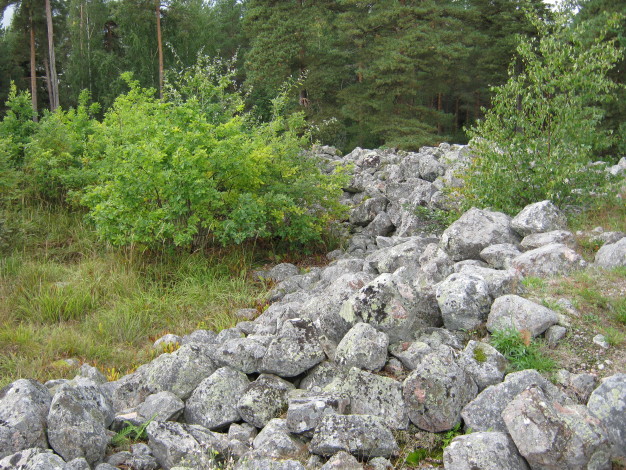 Borgby-skans