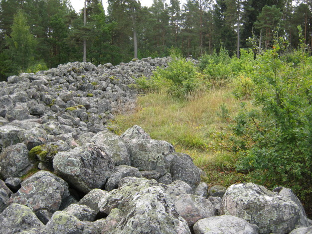 Borgby-skans