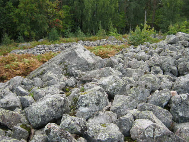 Borgby-skans
