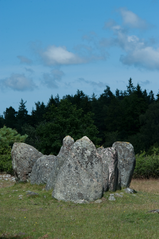 Click for the gallery page to add comments and vote (PID:127898) Gålrum Gravfält