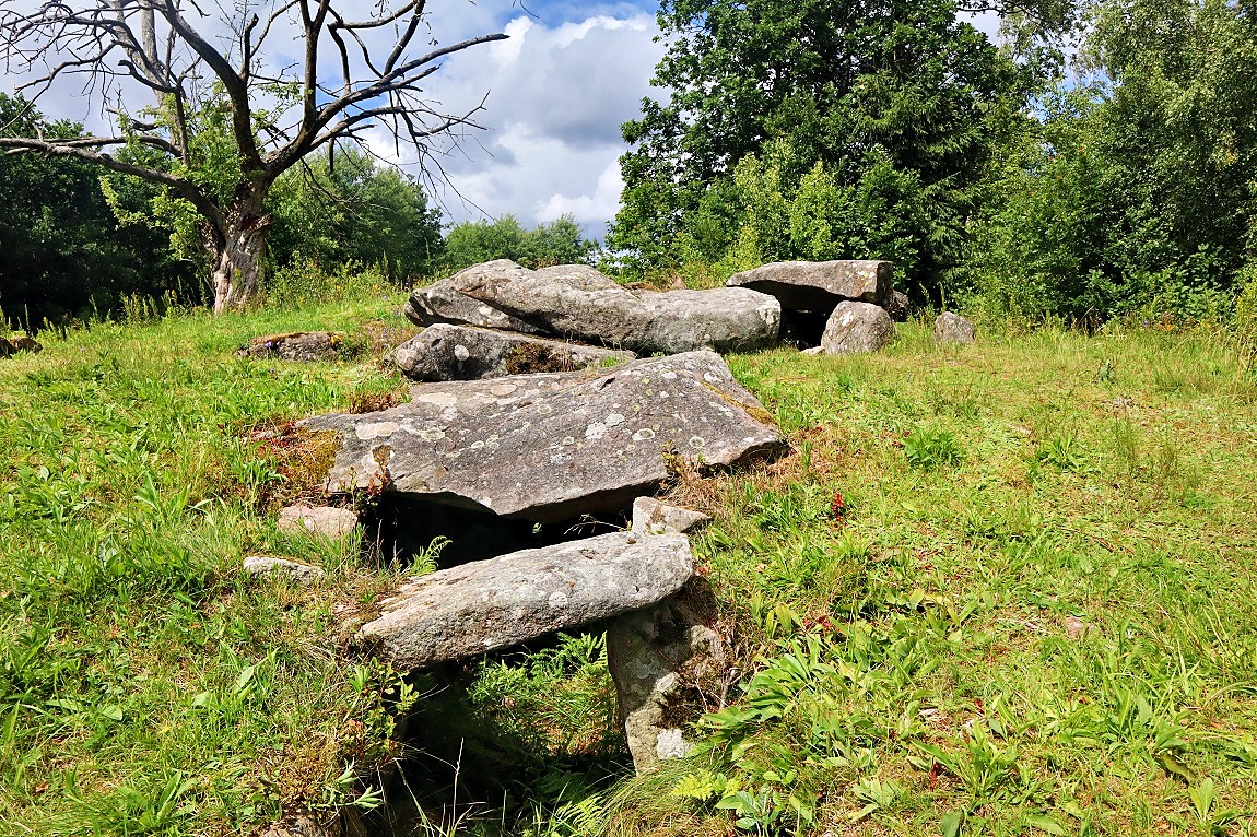 Tolarpsgriften. Passage Grave in mound. 15 x 1,2 meters. RAÄ-nummer Snöstorp 31:1. Foto juli 2023. More informaton at the bottom of the main site.