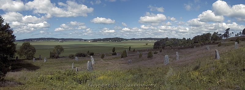 Click for the gallery page to add comments and vote (PID:11342) Li (Fjärås Bräcka)