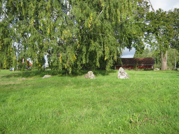 Stones towards the eastern side of this compact site.  The whole site with four circles and other standing stones measures just 115 metres by 40 metres.  September 2011.