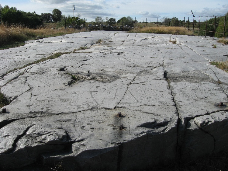 Click for the gallery page to add comments and vote (PID:53680) Simris Rock Carving Panel