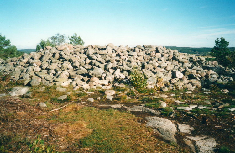 Vitlycke Rösen