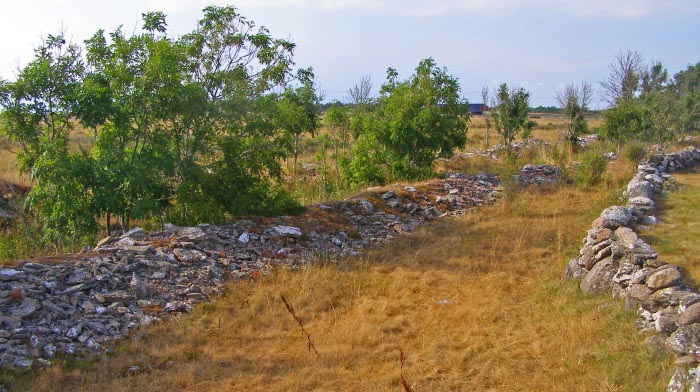 Click for the gallery page to add comments and vote (PID:35606) Alby Mesolithic Village