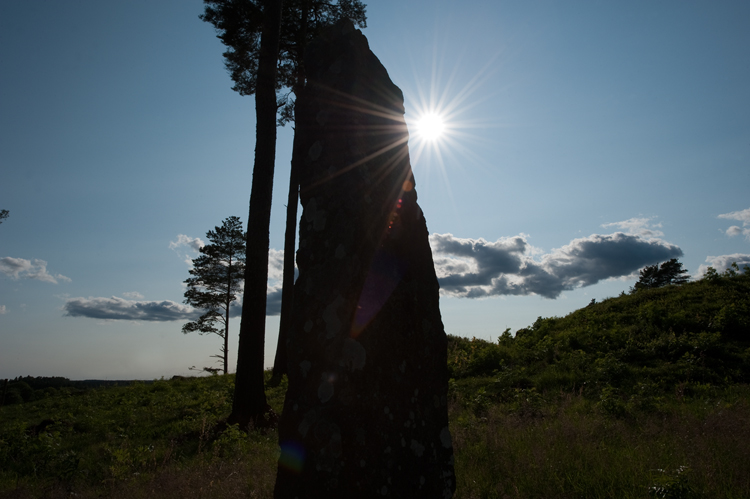 Click for the gallery page to add comments and vote (PID:111030) Håvesten