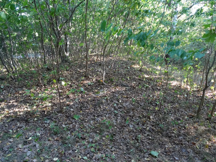 One of the burial mounds located west of the road which intersects the cemetery (photo taken on August 2016).