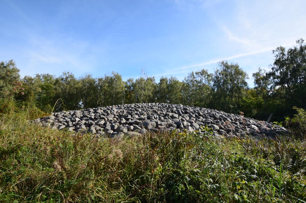 Click for the gallery page to add comments and vote (PID:158681) Blå Bör
