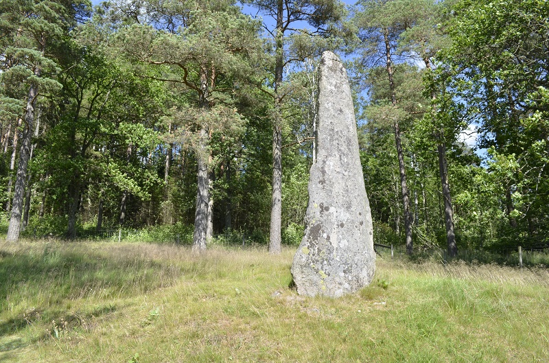 Blomsholm standing stones