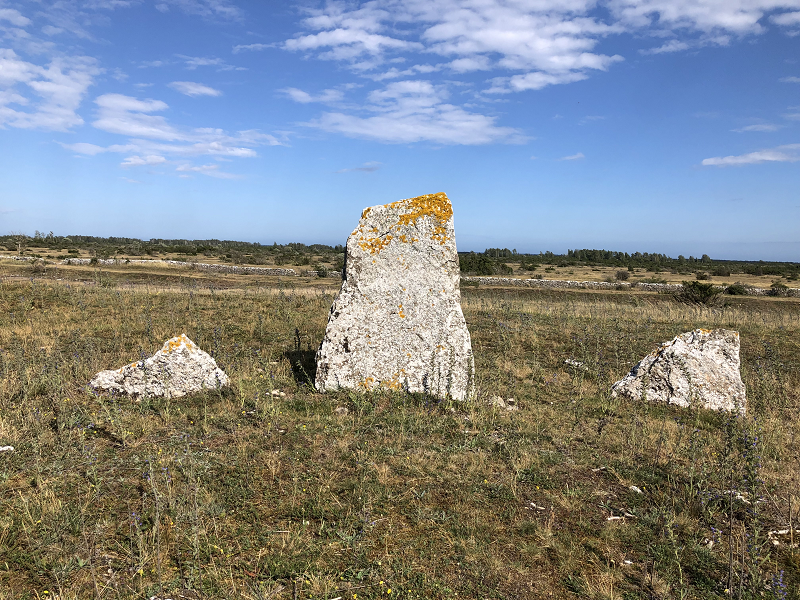 The standing stones stand in a row. 