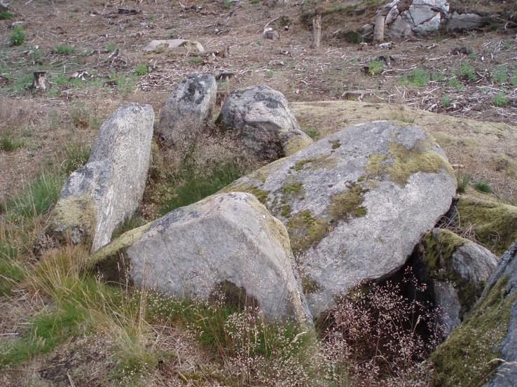 Gödestadsgraven
