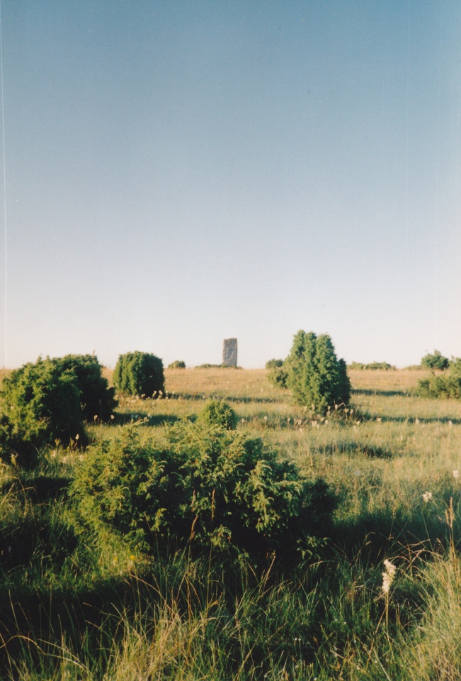 Click for the gallery page to add comments and vote (PID:200349) Tingstad Flisor