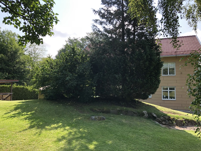 Falköping Hällkista 1