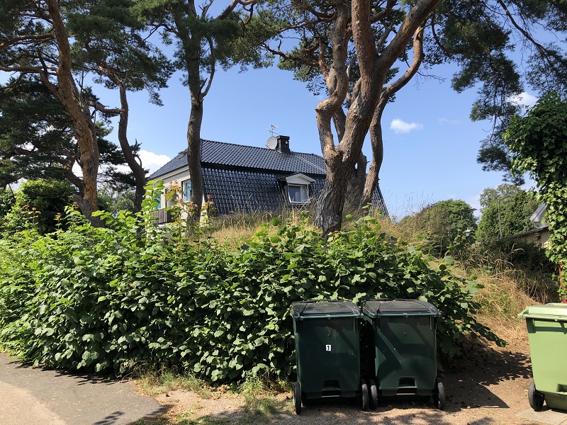 Click for the gallery page to add comments and vote (PID:230523) Båstad Hög 1