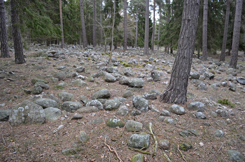 Click for the gallery page to add comments and vote (PID:195460) Lilla Bjärs Gravfält