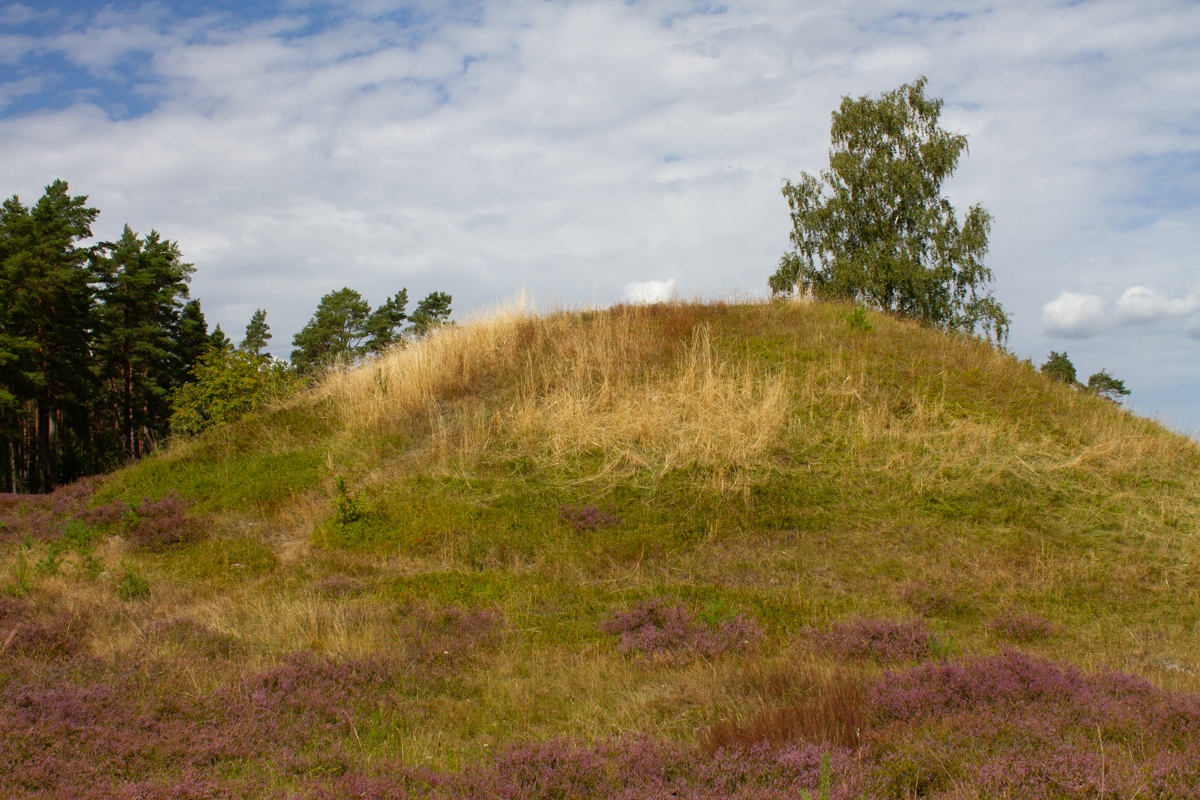 Click for the gallery page to add comments and vote (PID:230662) Ottarshögen