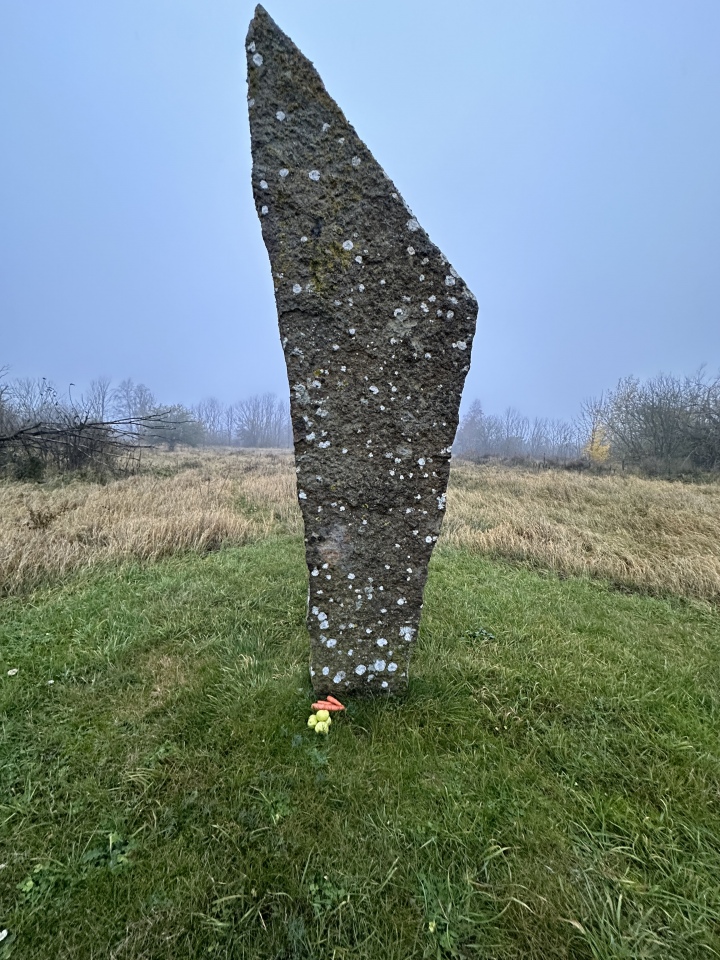 Degerhamn Standing Stone