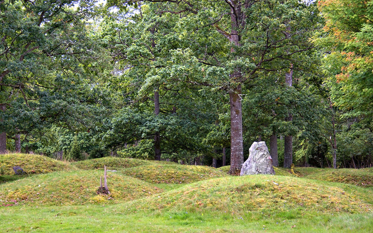 Toftaholms Gravfält