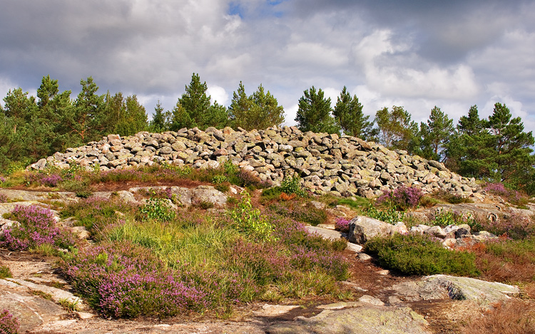 Click for the gallery page to add comments and vote (PID:58469) Vitlycke Rösen