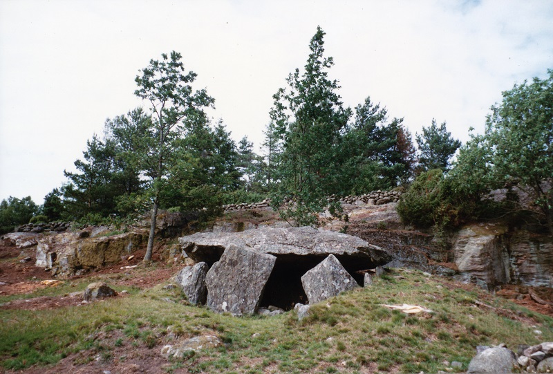 Click for the gallery page to add comments and vote (PID:199911) Lunneslätt