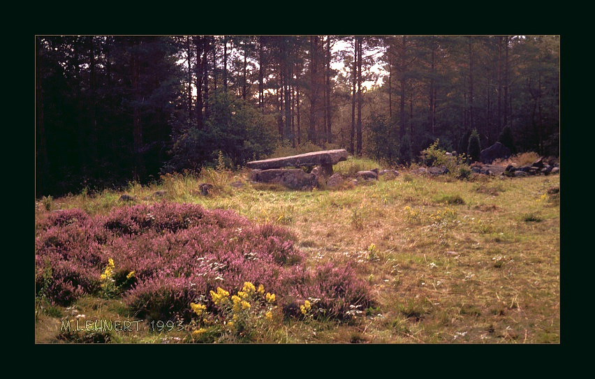 Click for the gallery page to add comments and vote (PID:79583) Björnemyren Hällkista